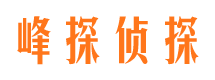 洛浦市私人调查